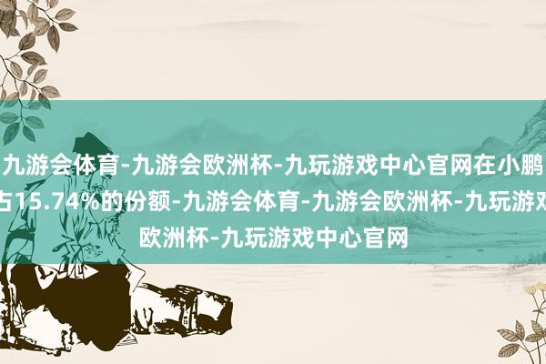 九游会体育-九游会欧洲杯-九玩游戏中心官网在小鹏汽车家眷占15.74%的份额-九游会体育-九游会欧洲杯-九玩游戏中心官网