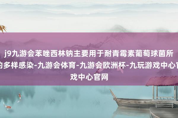 j9九游会苯唑西林钠主要用于耐青霉素葡萄球菌所致的多样感染-九游会体育-九游会欧洲杯-九玩游戏中心官网