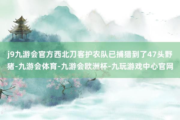 j9九游会官方西北刀客护农队已捕猎到了47头野猪-九游会体育-九游会欧洲杯-九玩游戏中心官网