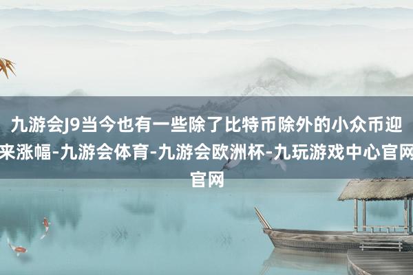 九游会J9当今也有一些除了比特币除外的小众币迎来涨幅-九游会体育-九游会欧洲杯-九玩游戏中心官网