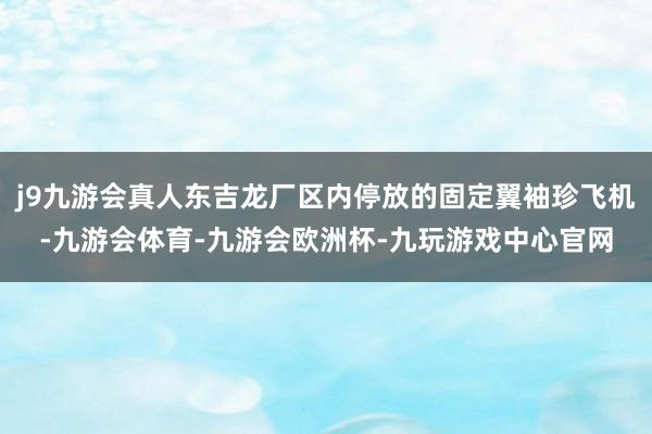 j9九游会真人东吉龙厂区内停放的固定翼袖珍飞机-九游会体育-九游会欧洲杯-九玩游戏中心官网