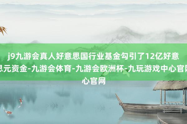 j9九游会真人好意思国行业基金勾引了12亿好意思元资金-九游会体育-九游会欧洲杯-九玩游戏中心官网